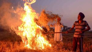 धुआं-धुआं हुआ पंजाब: एक दिन में 147 खेतों में जली पराली, जानिए क्यों नहीं थम रही ये आग