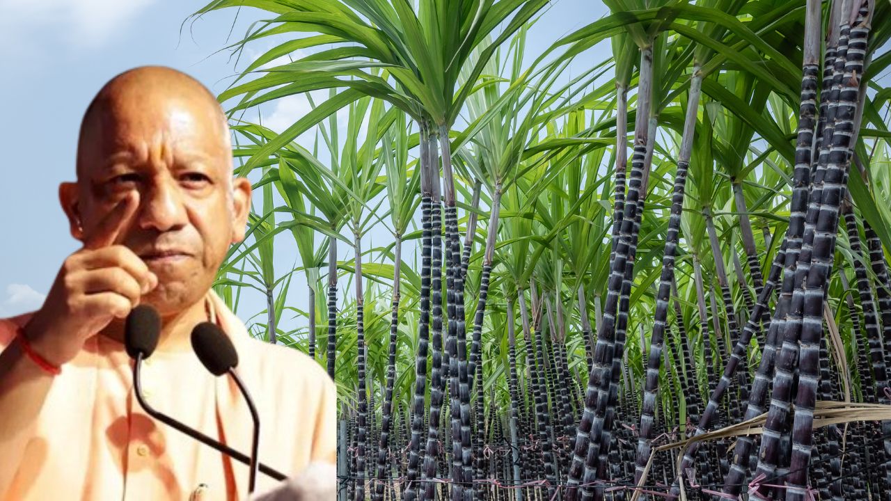 पुरानी सरकारों ने 21 चीनी मिलों को बेचा, जानें योगी सरकार में कितनी मिलें शुरू हुईं और कितनी पेमेंट हुई Sugar Industry Minister Laxmi Narayan Chaudhary Said Previous Govts Sold 21 Sugar Mills Check Yogi Government How Many Mills Reopened And How Much Sugarcane Payment Transfer To Farmers