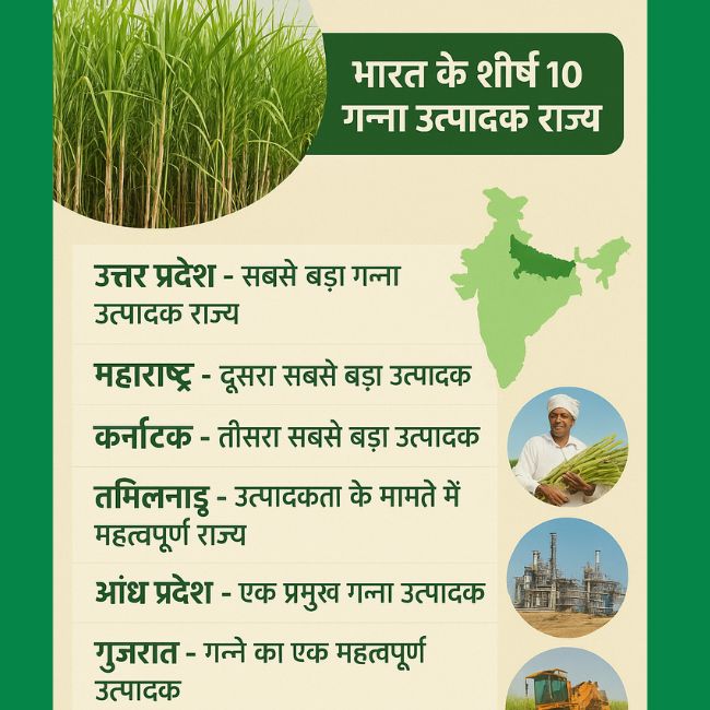 top sugarcane producers states