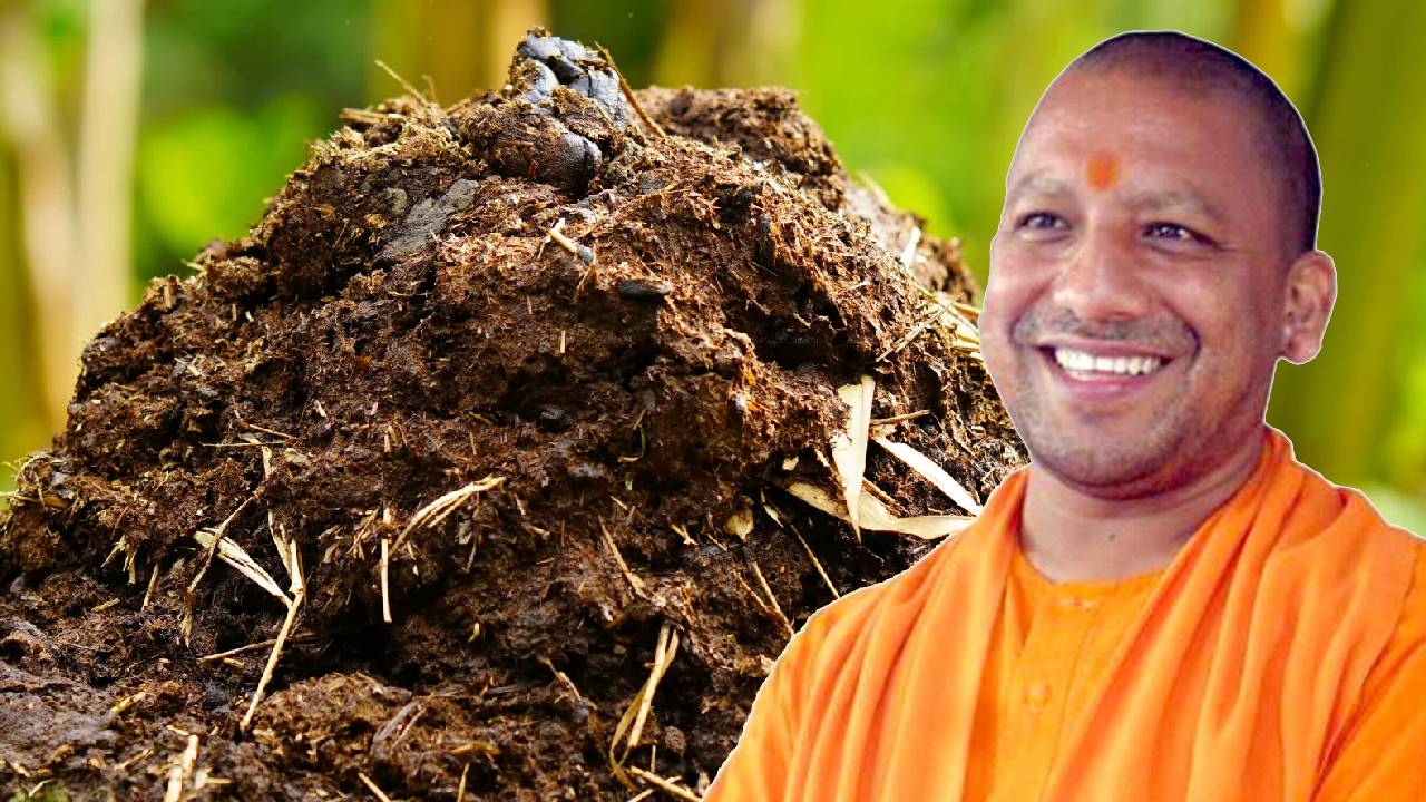 यूपी में शुरू हुई अनोखी स्कीम, पराली के बदले किसानों को मिलेगी गोबर की खाद, बस करना होगा ये काम Up Govt Stubble Exchange Scheme Farmers To Get Cow Dung Fertilizer For Paddy Stubble To Reduce Pollution And Improve Soil Fertility