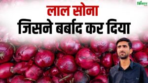 प्याज की घटती कीमतों ने किसानों की उड़ाई नींद, मुश्किल में अन्नदाता