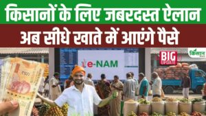 किसानों के लिए बड़ी राहत, e-NAM प्लेटफॉर्म पर अब 247 फसलों की ट्रेडिंग शुरू, जानें नई फसलें कौन-कौन सी