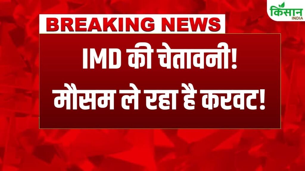 India Weather Update