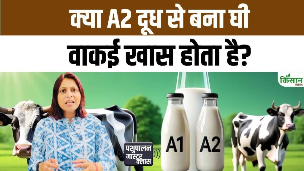 A2 Milk Benefits