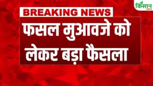 सरकार ने फसल मुआवजे का बड़ा फैसला लिया, दिवाली से पहले किसानों को मिलेगा लाभ और राहत