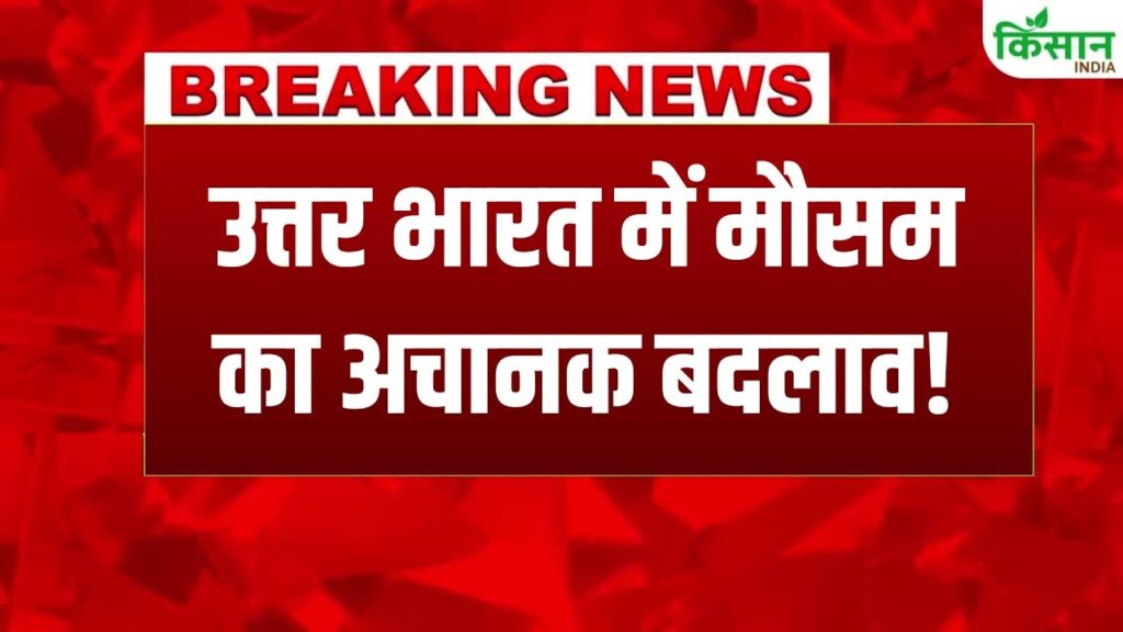 Delhi NCR Weather Update