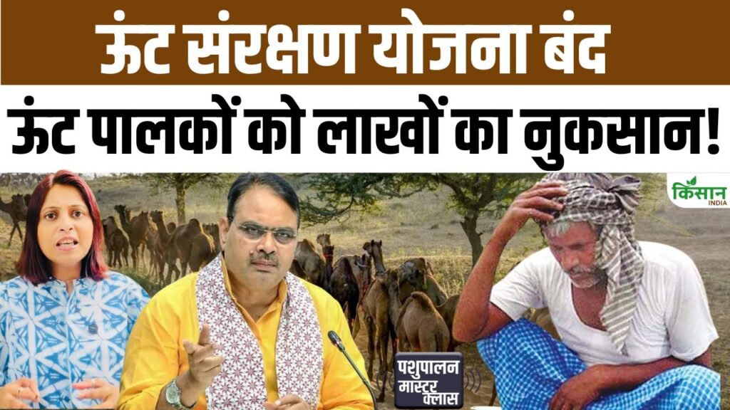 Camel Conservation Scheme