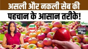 Asli Nakli: बाजार में बढ़े नकली सेब, ऐसे करें पहचान और बचें सेहत पर पड़ने वाले खतरों से