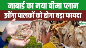 NABARD का बड़ा कदम, अब फसल के साथ डेयरी और मछली पालन को भी मिलेगा बीमा सुरक्षा