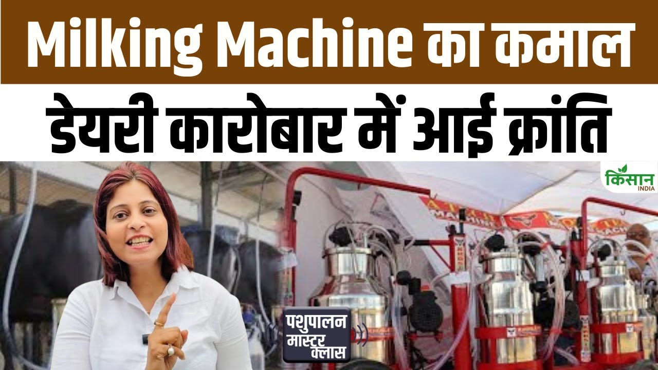 अब मिनटों में होगा दूध दुहना, किसानों के लिए आई आधुनिक Milking Machine तकनीक Milking Machine Will Extract Milk From Animals In Minutes
