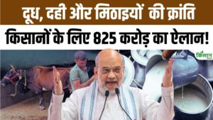 अमित शाह ने रोहतक में साबर डेयरी प्लांट का उद्घाटन किया, हरियाणा के डेयरी उद्योग को बढ़ावा