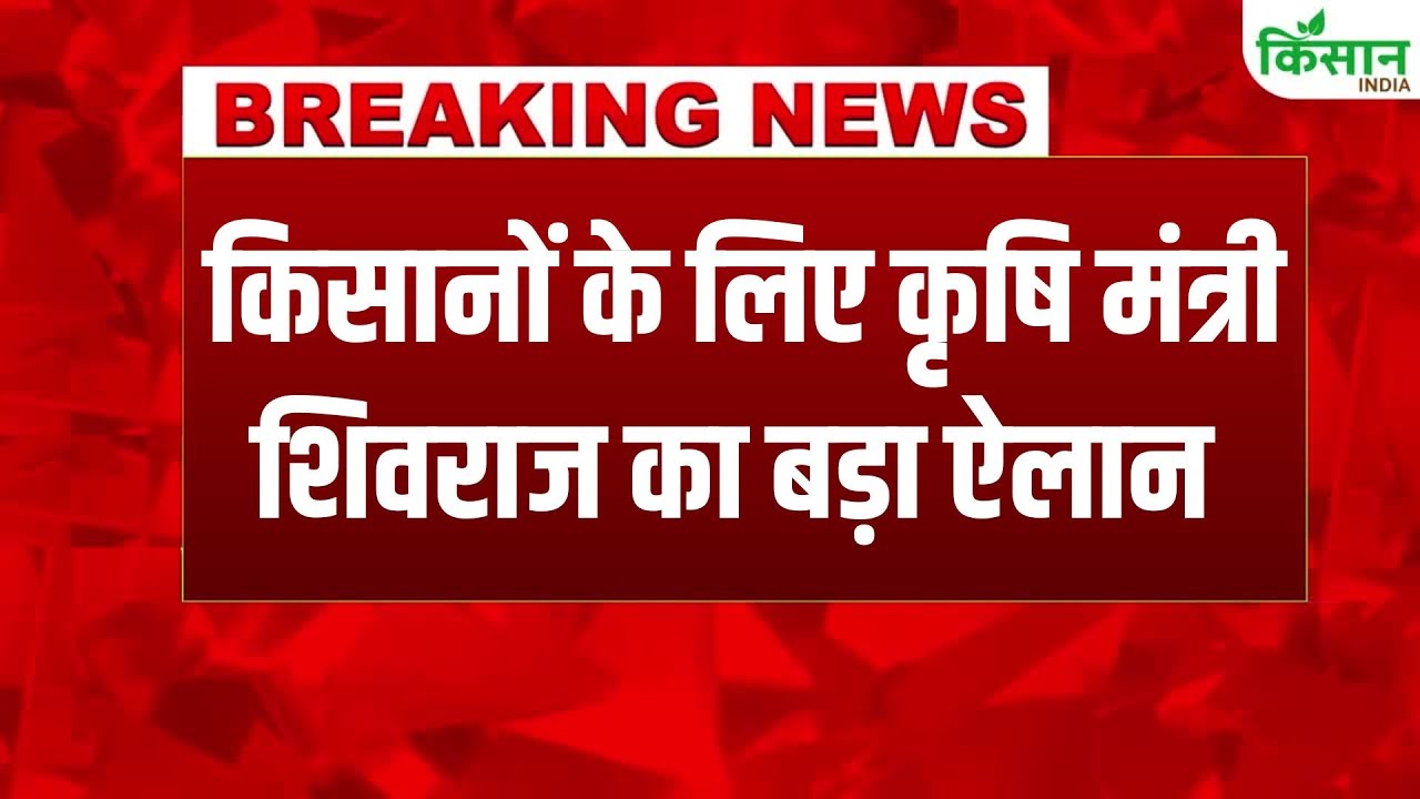 किसानों को बड़ी सौगात, कृषि मंत्री शिवराज सिंह चौहान ने किया हजारों करोड़ के राहत पैकेज का ऐलान Big Gift To Farmers Agriculture Minister Shivraj Singh Chouhan Announced A Relief Package Worth Thousands Crores