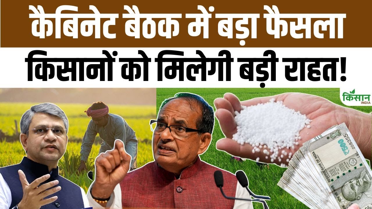 कैबिनेट मीटिंग में किसानों को बड़ी राहत, रबी सीजन के लिए खाद सब्सिडी बढ़ाने का फैसला Farmers Get Major Relief Cabinet Meeting Decision Taken Increase Fertilizer Subsidy Rabi Season