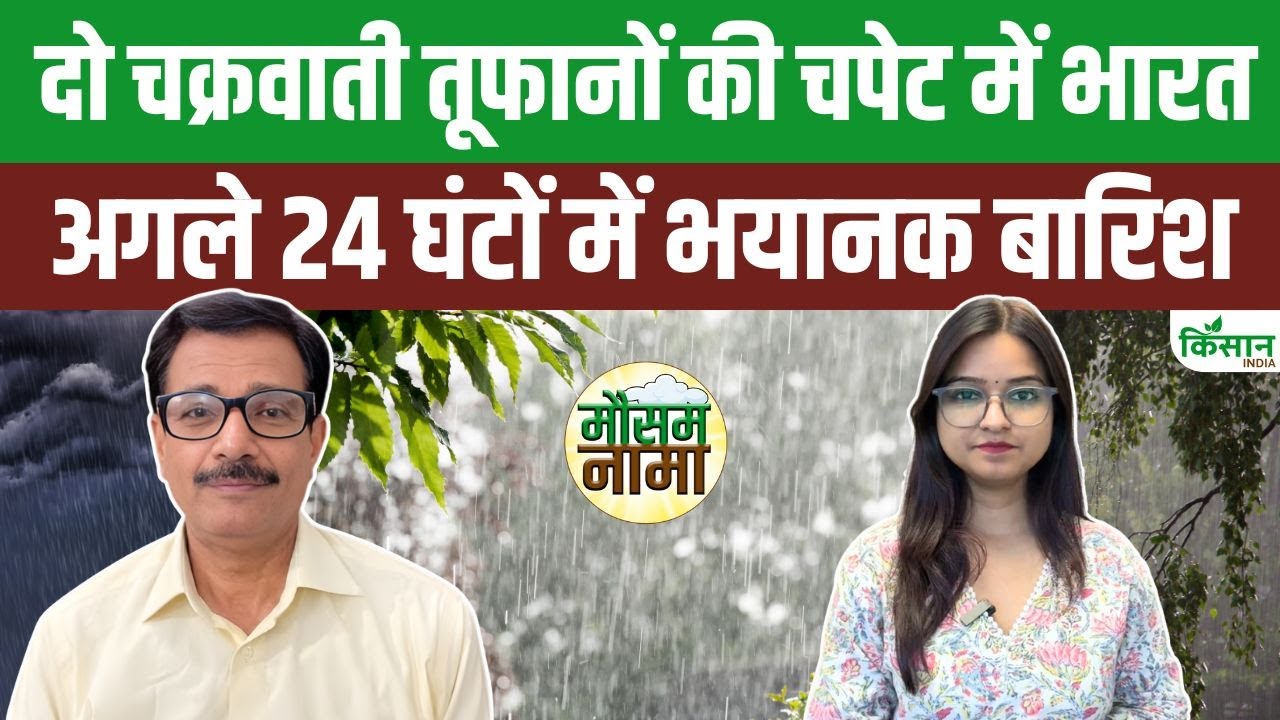 तूफान मोंथा का कहर, अगले 48 घंटे भारी बारिश और तेज हवाओं का अलर्ट जारी Cyclone Montha Wreaks Havoc Alert Issued Heavy Rain And Strong Winds Next 48 Hours