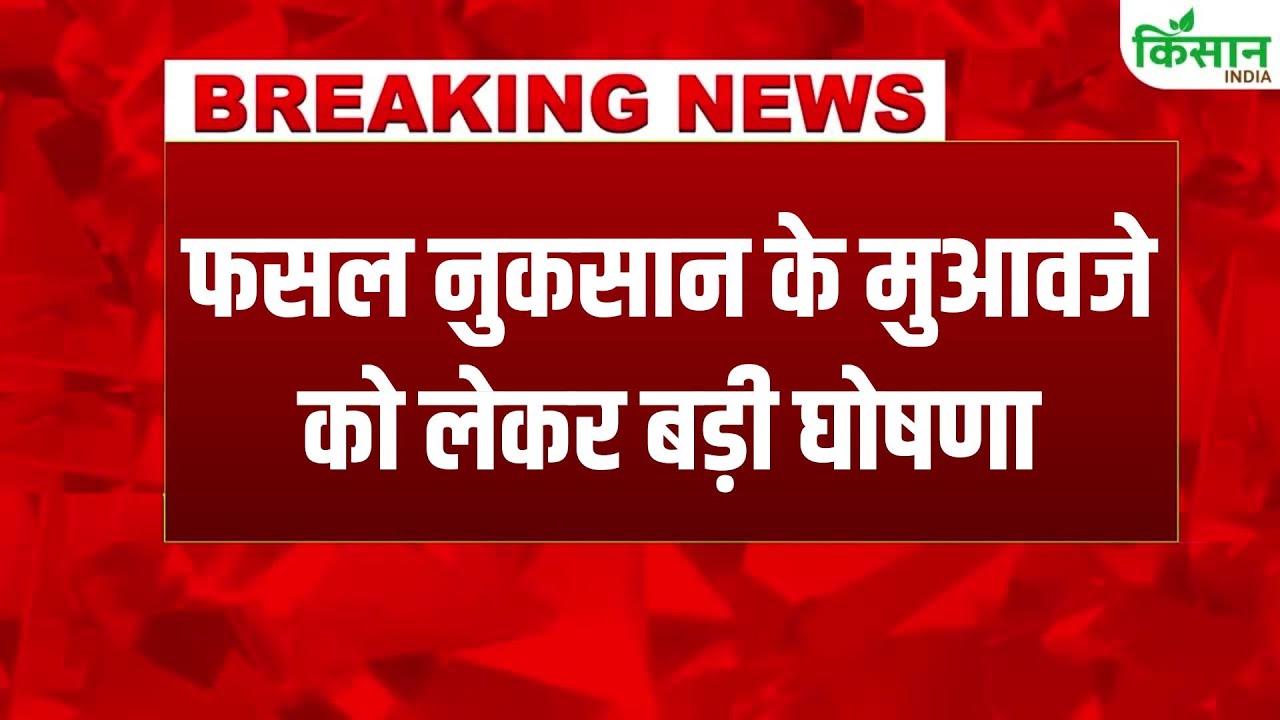 केंद्र सरकार का बड़ा फैसला, प्राकृतिक आपदा से फसल खराब होने पर मिलेगा तुरंत मुआवजा Central Government Big Decision Immediate Compensation Given Case Crop Damage Due Natural Calamity