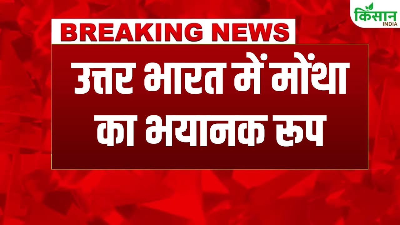 Cyclone Montha का कहर जारी, अब Delhi-NCR और UP में भारी बारिश और तेज हवाओं का अलर्ट जारी Cyclone Mahina Continues Wreak Havoc With Heavy Rain And Strong Winds Alert Issued Delhi Ncr And Uttar Pradesh