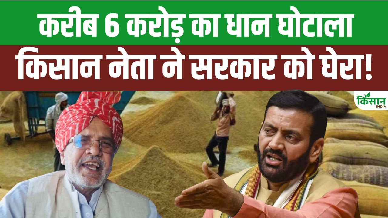 किसान नेता का बड़ा खुलासा, सरकारी मंडियों से करोड़ों का धान गायब होने पर मचा बवाल Farmer Leader Makes Big Revelation Causing Uproar After Crores Rupees Worth Paddy Goes Missing From Government Markets