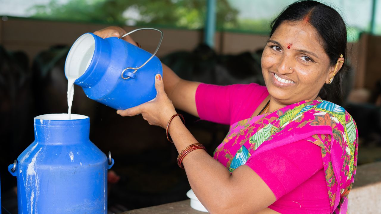 Balini Milk Producer Company Became An Example Of Self Reliance Of Women Over 20 Thousand Women Became Millionaires