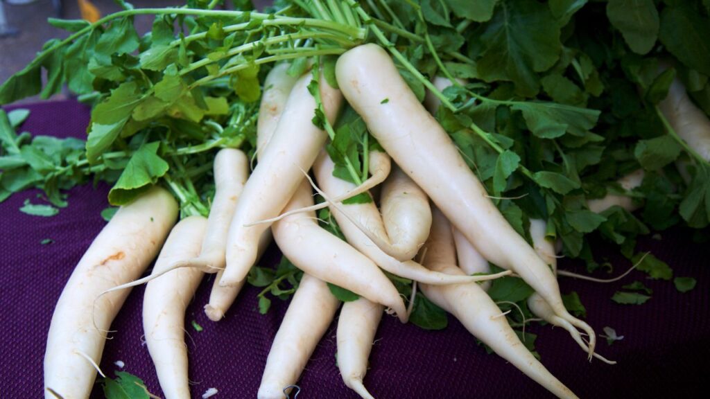 Benefits Of Radish: इन पत्तों के प्राकृतिक एंजाइम लिवर को साफ रखते हैं और डायबिटीज रोगियों के लिए फायदेमंद साबित होते हैं. ये ब्लड शुगर लेवल को नियंत्रित करने में सहायक हैं. Benefits Of Radish: इन पत्तों के प्राकृतिक एंजाइम लिवर को साफ रखते हैं और डायबिटीज रोगियों के लिए फायदेमंद साबित होते हैं. ये ब्लड शुगर लेवल को नियंत्रित करने में सहायक हैं.