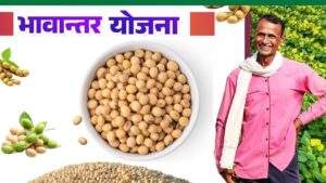 1.32 लाख सोयाबीन किसानों के खाते में पहुंचेगी भावांतर राशि, सीएम 11.30 बजे अकाउंट में भेजेंगे पैसा