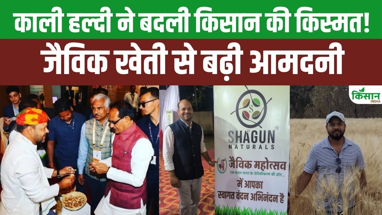 Black Turmeric Farming Young Farmer Creates Unique Business Model By Cultivating Black Turmeric