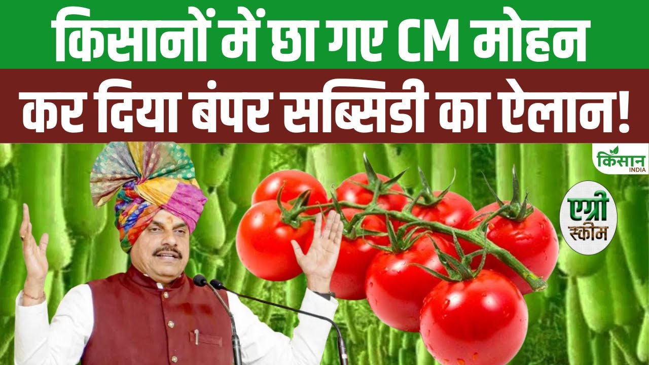 Rashtriya Krishi Vikas Yojana Farmers Will Get Huge Subsidy On Vegetables Big Announcement By Cm Mohan On Tomato Farming