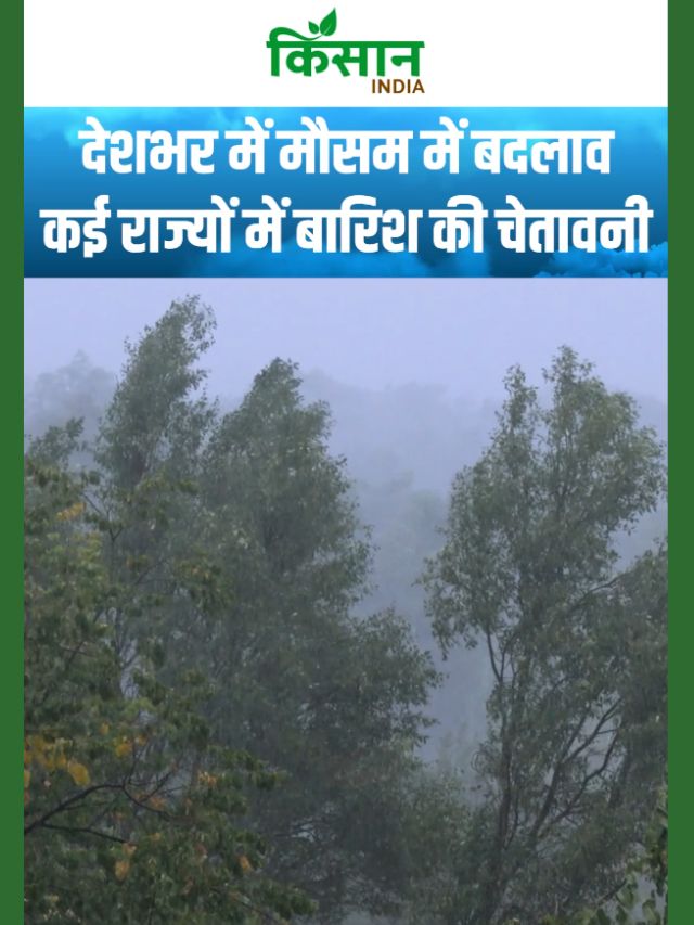 Cyclone Montha Impact: बिहार और पूर्वोत्तर में भारी बारिश, उत्तर भारत में ठंड बढ़ी