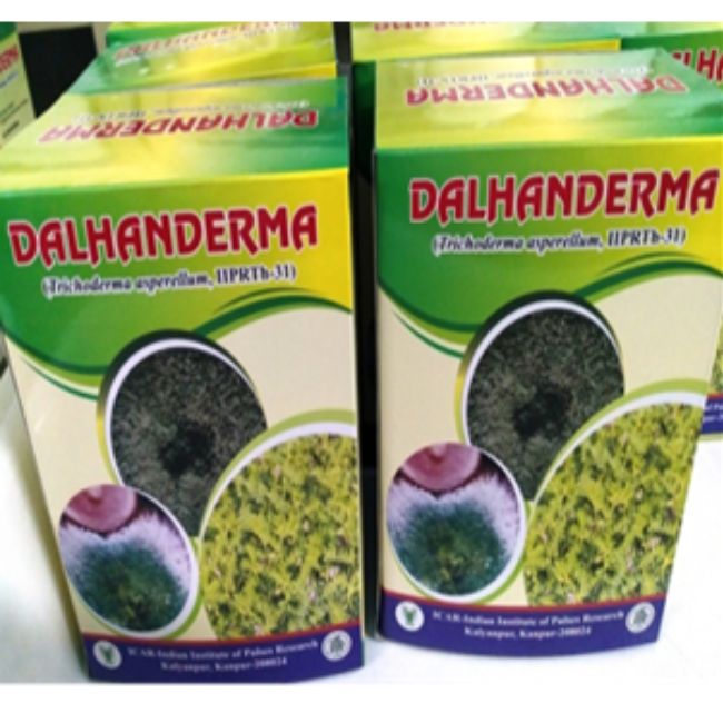 Dalhanderma for pulses disease solution 