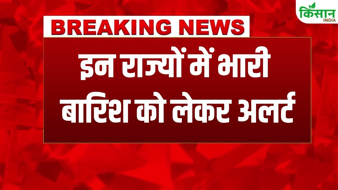 Weather Updates Winter Arrives In North India Fog And Rain Wreak Havoc In Delhi Ncr Check Latest Weather Report