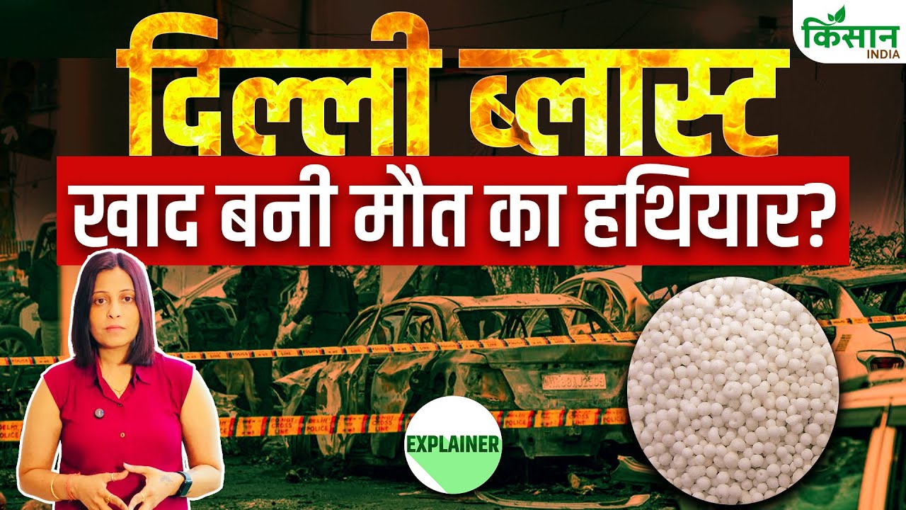 Delhi Car Blast Fertilizer Become Weapon Of Death In Delhi Check Anfo Ammonium Nitrate