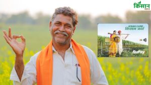 फिर चर्चा में क्यों KCC Loan, किसान क्रेडिट कार्ड से 3 लाख रुपये पाएं, पूरी जानकारी पढ़ें फिर चर्चा में क्यों KCC Loan, किसान क्रेडिट कार्ड से 3 लाख रुपये पाएं, पूरी जानकारी पढ़ें