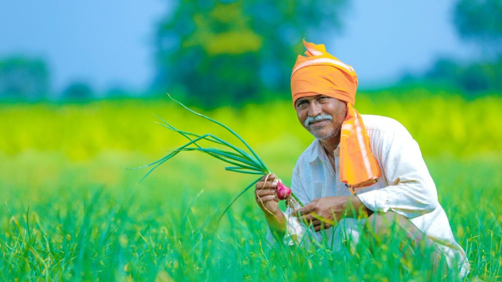 PM Kisan (प्रधानमंत्री किसान सम्मान निधि): इस योजना के तहत पात्र किसानों को हर साल ₹6,000 की आर्थिक सहायता दी जाती है, जो तीन किश्तों में सीधे बैंक खाते में भेजी जाती है, ताकि पारदर्शिता बनी रहे और देरी न हो.