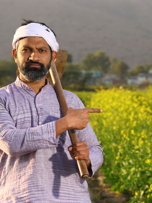 नवंबर में करें इन 2 फसलों की खेती, छप्पर फाड़ कमाई!