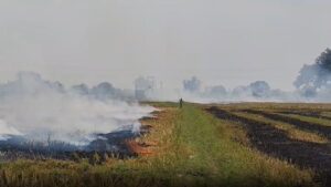 पराली जलाने पर यूपी में किसानों पर लाखों का जुर्माना लगा, सैटेलाइट सर्वे से पकड़े जा रहे केस