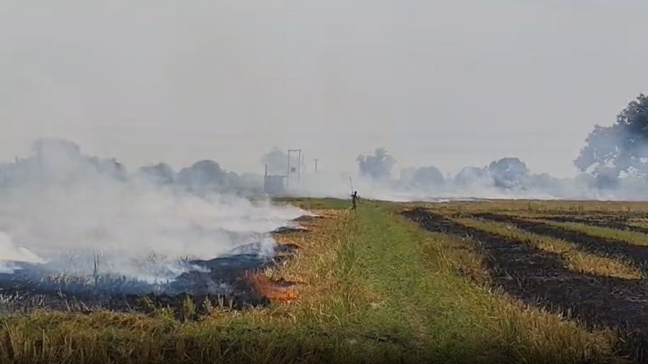 Fatehpur Farmers In Up Fined Over 2 Lakh Lakh Rupees For Burning Stubble Know Stubble Burning Rules And Fines