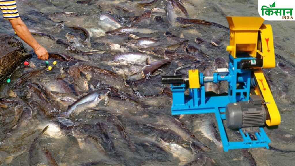Fish Feed Machine
