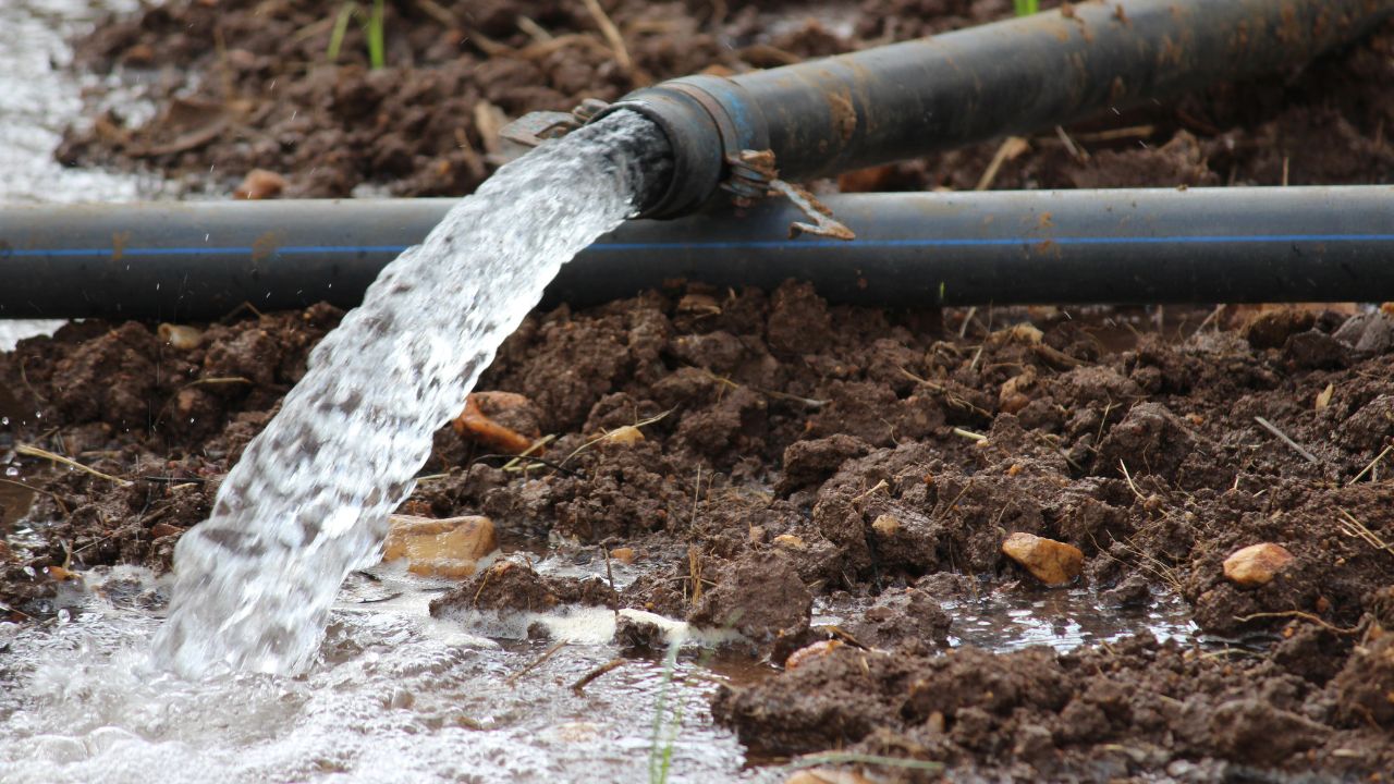 Irrigation Now Easier With Bihar Government Offering 40 To 80 Percent Subsidy On Borewell Drip Systems