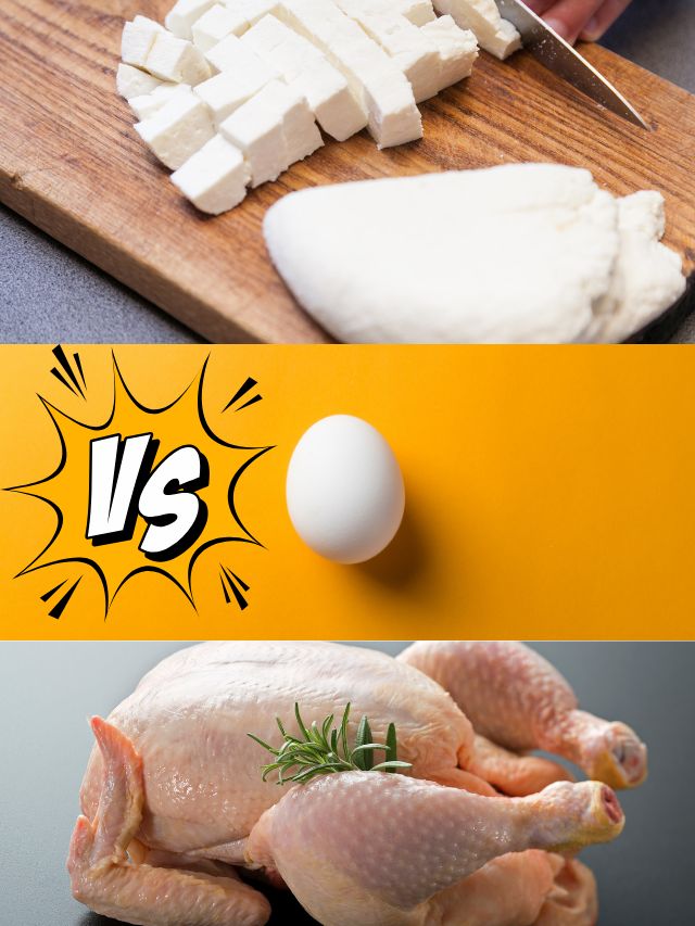 पनीर, अंडा या चिकन? असली प्रोटीन किंग कौन! जानें