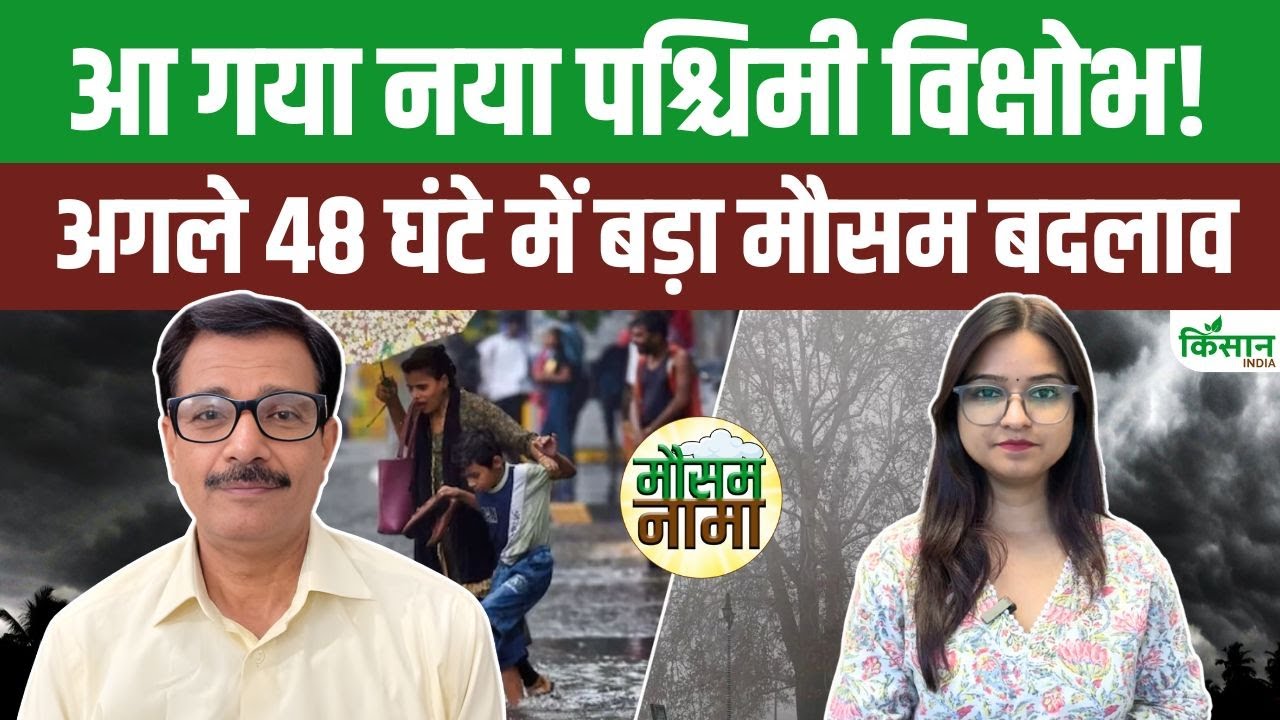 Heavy Rain In Delhi Ncr Snowfall Alert In The Mountains Weather Update Today November Weather