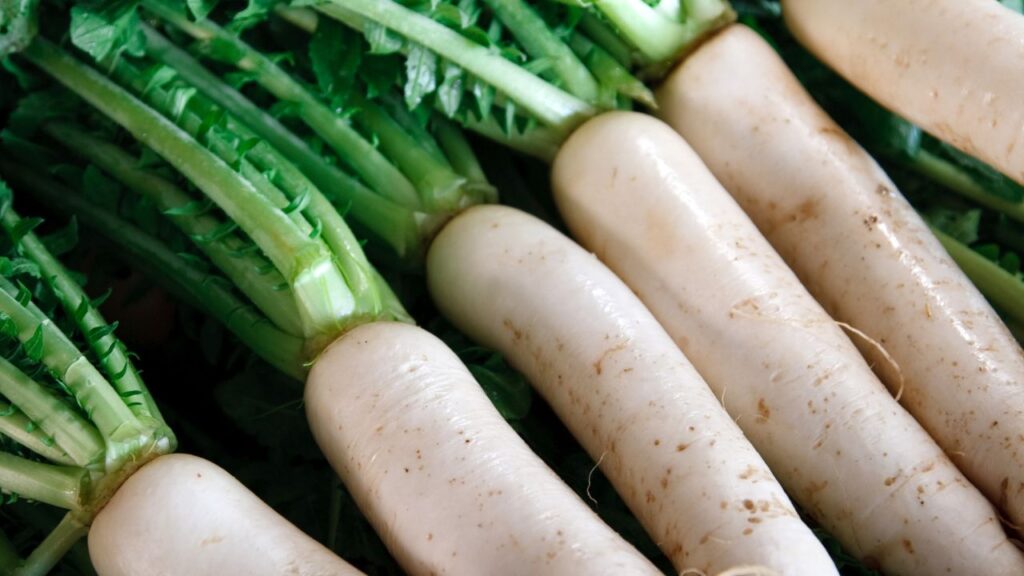 Radish Leaves Benefits: मूली के पत्तों में विटामिन C और एंटीऑक्सीडेंट्स प्रचुर मात्रा में पाए जाते हैं, जो त्वचा की चमक बढ़ाते हैं, मुंहासों को कम करते हैं और सर्दियों में रोग प्रतिरोधक क्षमता मजबूत बनाते हैं. Radish Leaves Benefits: मूली के पत्तों में विटामिन C और एंटीऑक्सीडेंट्स प्रचुर मात्रा में पाए जाते हैं, जो त्वचा की चमक बढ़ाते हैं, मुंहासों को कम करते हैं और सर्दियों में रोग प्रतिरोधक क्षमता मजबूत बनाते हैं.