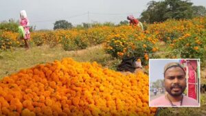 किसान ने ढाई महीने में 40 हजार खर्च कर 5 लाख कमाए, आप भी जान लें खेती से मुनाफा बनाने का तरीका किसान ने ढाई महीने में 40 हजार खर्च कर 5 लाख कमाए, आप भी जान लें खेती से मुनाफा बनाने का तरीका