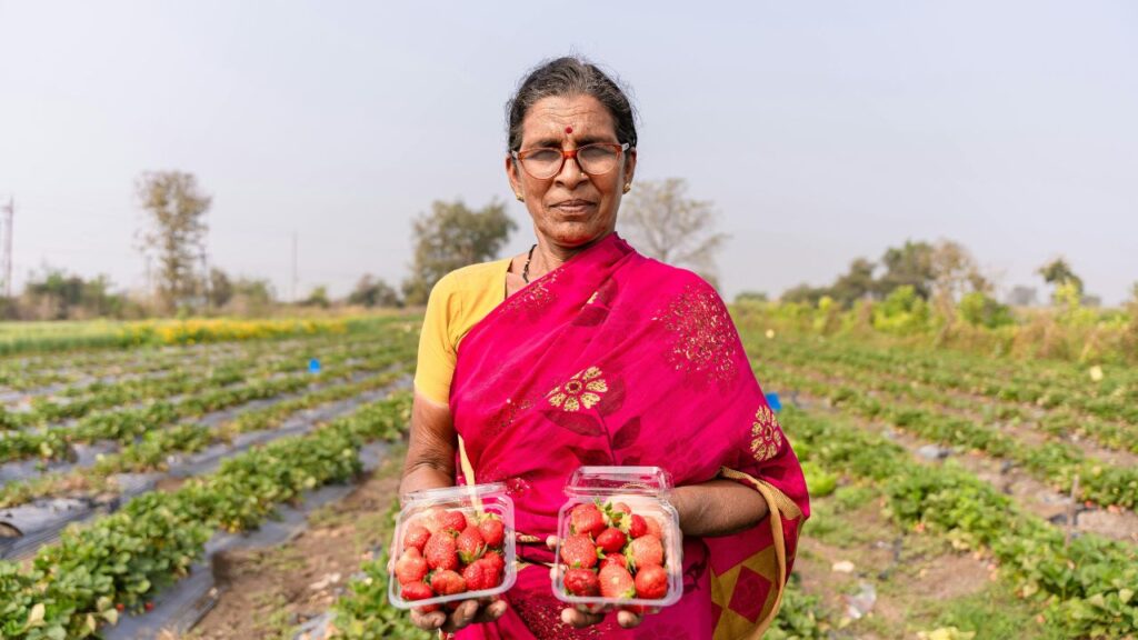 e-NAM (राष्ट्रीय कृषि बाजार): यह डिजिटल प्लेटफॉर्म किसानों को देशभर में अपने उत्पाद ऑनलाइन बेचने की सुविधा देता है. 2016 में शुरू हुई यह योजना किसानों को बेहतर दाम और पारदर्शी व्यापार का मौका देती है.