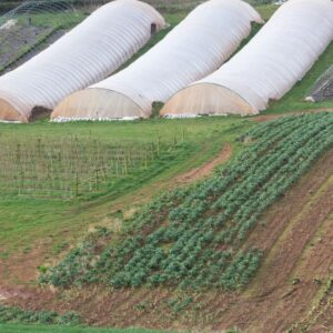 Low Cost Poly Tunnel 