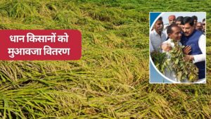 तीन लाख किसानों को आज मिलेंगे 238 करोड़ रुपये, फसल नुकसान का मुआवजा जारी करेंगे सीएम मोहन