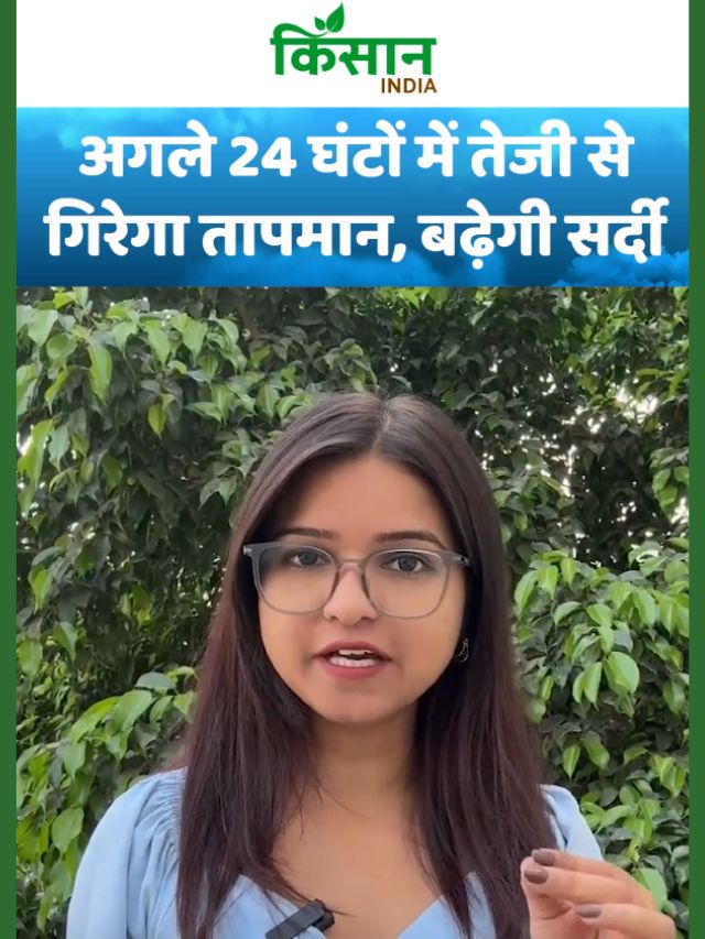 उत्तर भारत में मौसम ने ली करवट, ठंडी हवाओं और बारिश का अलर्ट