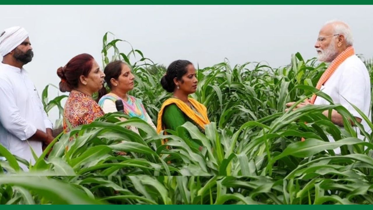 Pm Kisan 21st Installment Over 9 Crore Farmers To Receive 18000 Crore Rupees On 19th November Beneficiary Farmers Names Removed From Pm Kisan Yojana