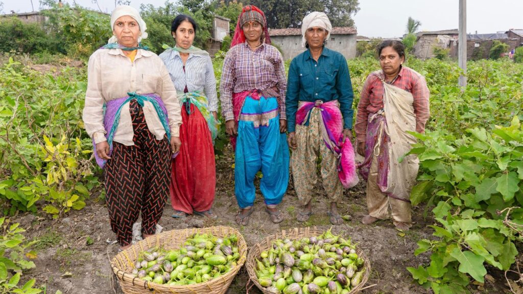 PMFBY (प्रधानमंत्री फसल बीमा योजना): यह बीमा योजना किसानों को प्राकृतिक आपदाओं, कीटों और बीमारियों से फसल नुकसान पर सुरक्षा देती है. 50 से अधिक फसलों को कवर किया गया है, जिससे करोड़ों किसानों को लाभ मिल रहा है.
