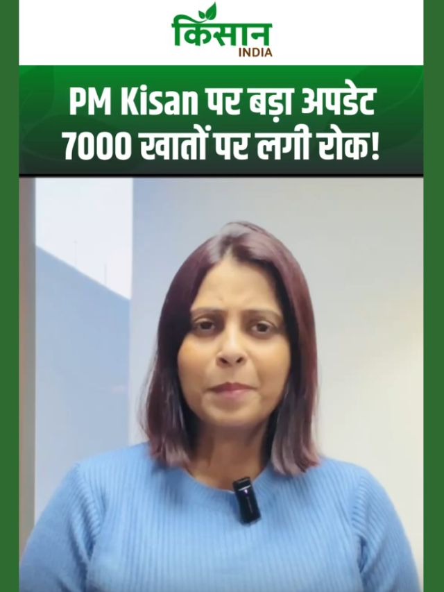 PM Kisan सम्मान निधि में बड़ा खुलासा! 7000 दंपतियों पर गिरी गाज, अब होगी वसूली!