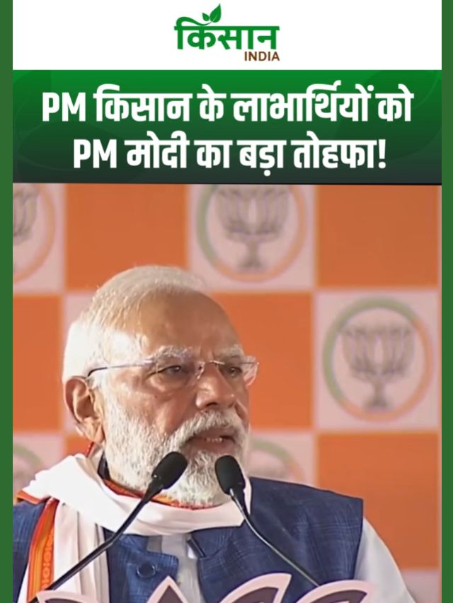 PM Modi in Bihar:  बिहार में PM मोदी की हुंकार! महागठबंधन को सुनाई ये बातें