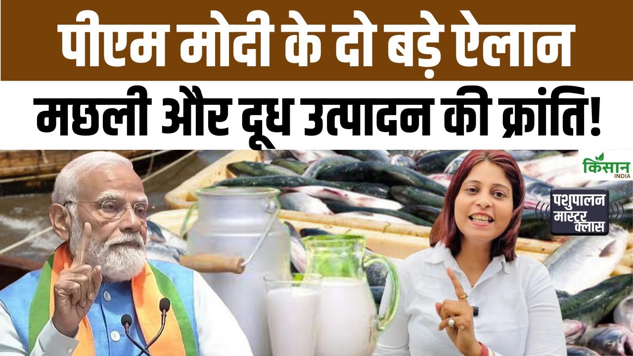 PM Modi की 2 बड़ी घोषणाएं: मछुआरों को 9,000 रुपये की मदद और दूधवालों को मिलेगा पशु बीमा